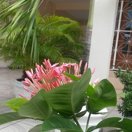 Each Hostel Da Amazonia 马瑙斯 外观 照片