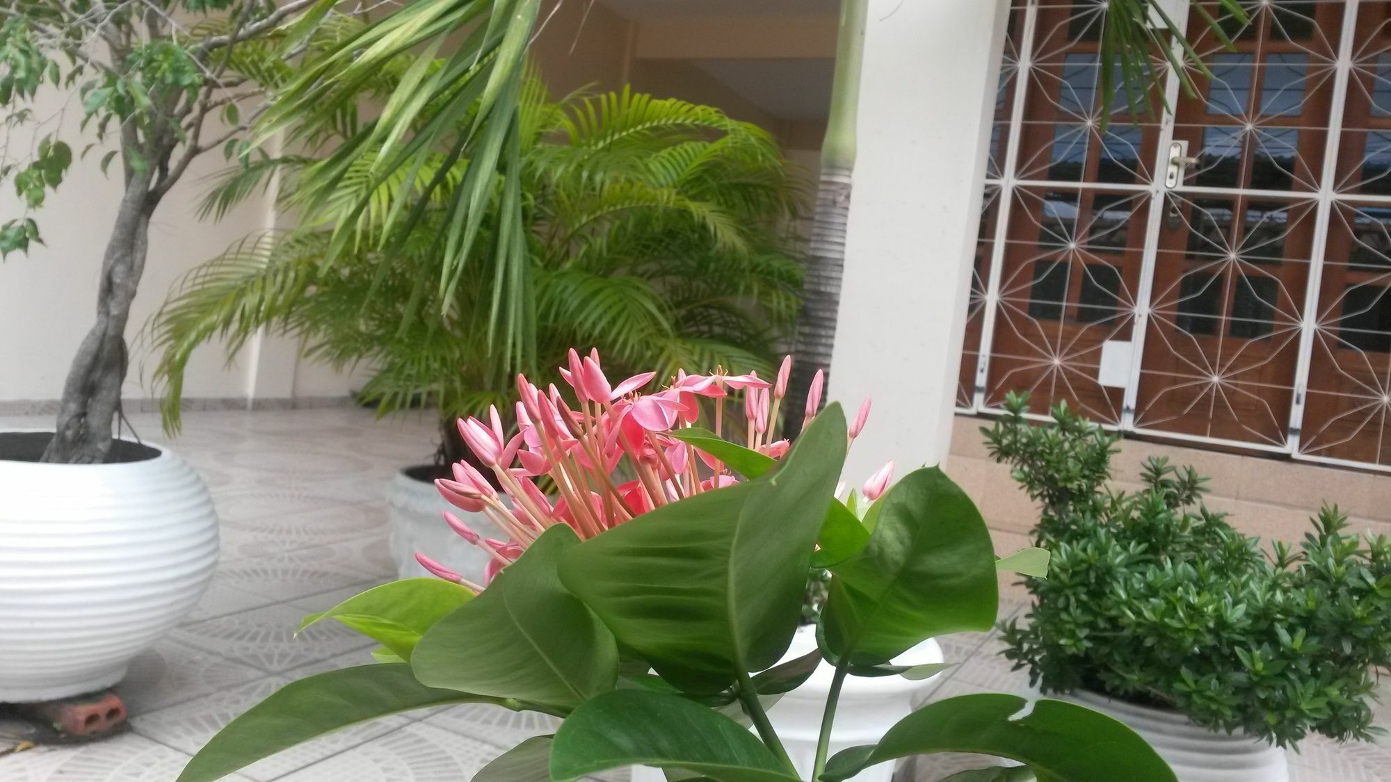 Each Hostel Da Amazonia 马瑙斯 外观 照片
