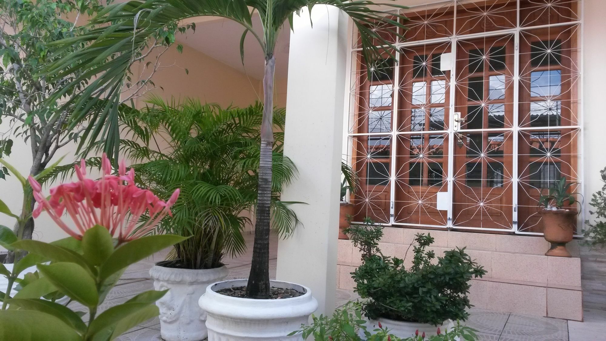 Each Hostel Da Amazonia 马瑙斯 外观 照片
